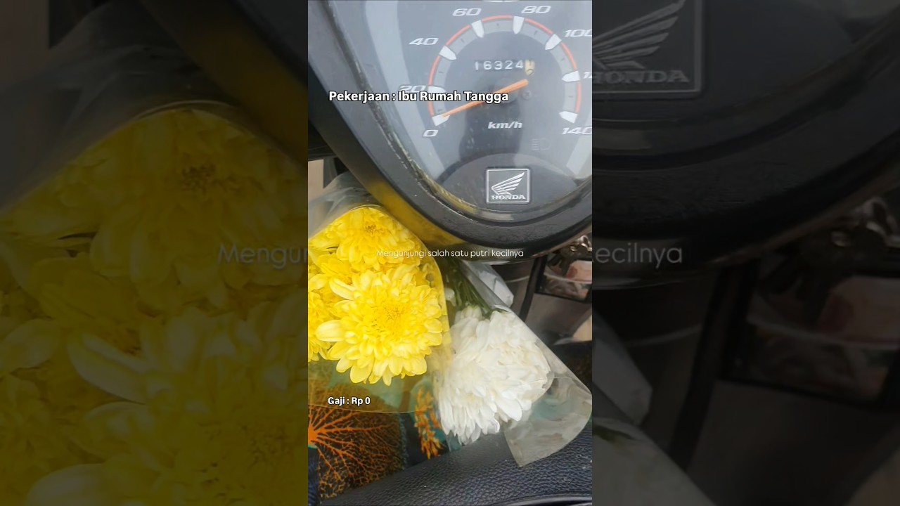 135/365,  hari ini 4th asha pergi 💔