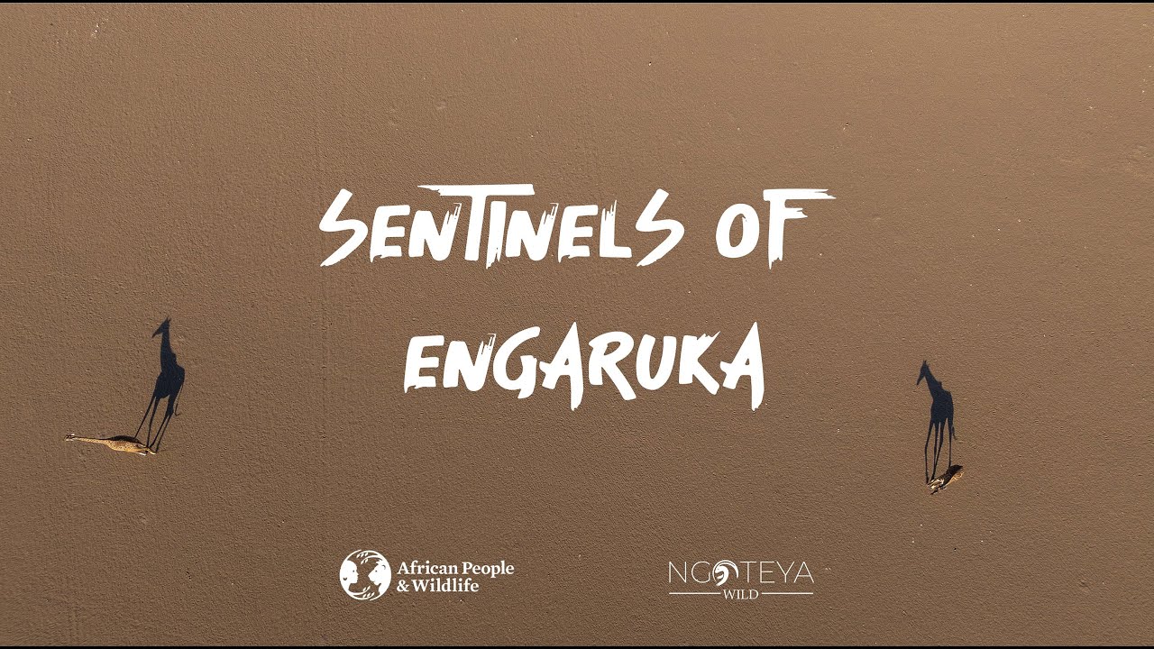 SENTINELS OF ENGARUKA   TRAILER