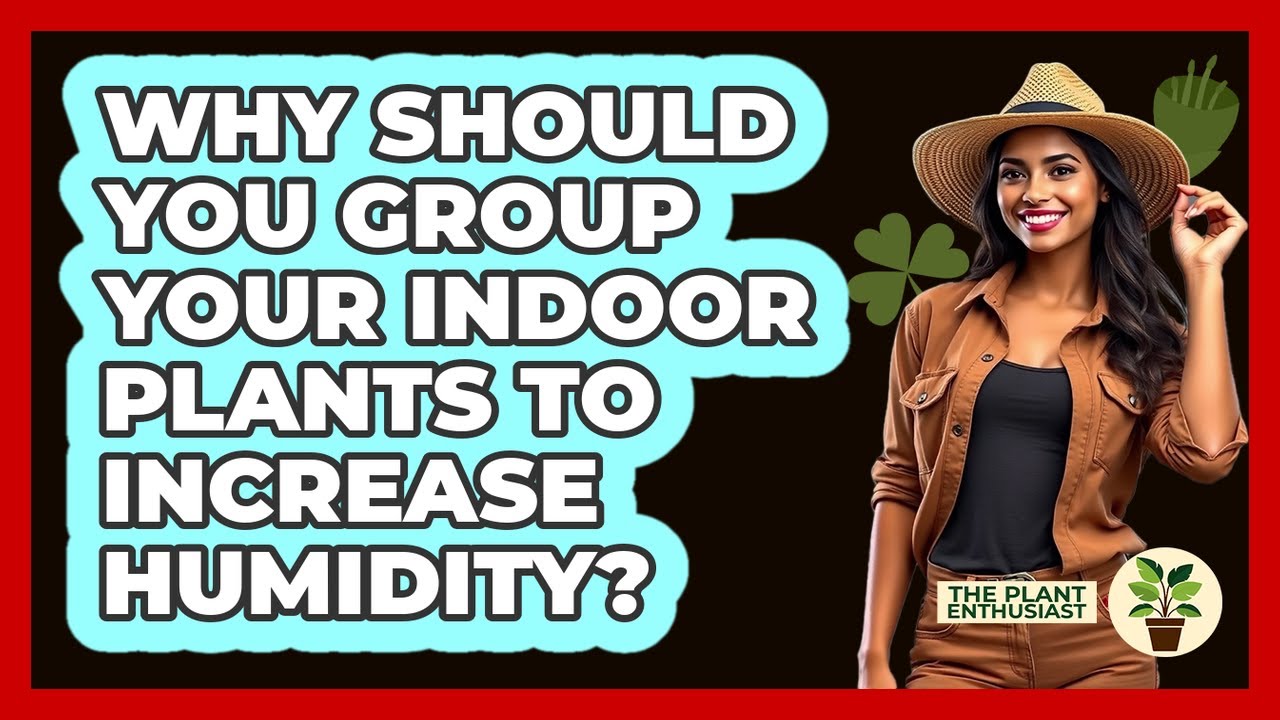 Why Should You Group Your Indoor Plants To Increase Humidity? - The Plant Enthusiast