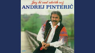 SO PTIČICE ZBRANE – Andrej Pinterič