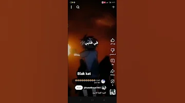 ٢٩ يونيو ٢٠٢٥ 