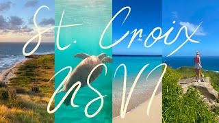 St. Croix Vlog  2 weeks in the US Virgin Islands