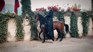 Caribeña De La Marqueza