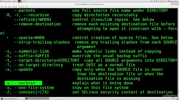 6 move delete and copy files commands  mv rm cp