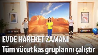 Evde Hareket Zamanı 26. Bölüm - Tempolu hareketlerle tüm vücut kas gruplarını aktif tutuyoruz