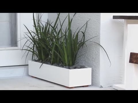 Video: Macetas (66 Fotos): Macetas Altas Rectangulares Y Cuadradas, Macetas De Vidrio Blancas Planas Y Largas Para Plantas De Interior