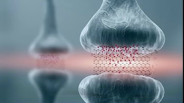 Graphene-based memory resistors show promise for brain-based computing