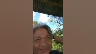 v2020 02 24 14 33  suara burung walet 3D 2020