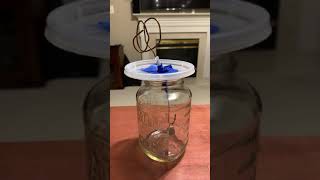 How electroscope works?