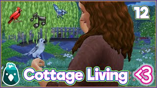 🦢🦆BRAMBLEWOOD BIRB BUDDIES🐦🕊️ // COTTAGE LIVING #12