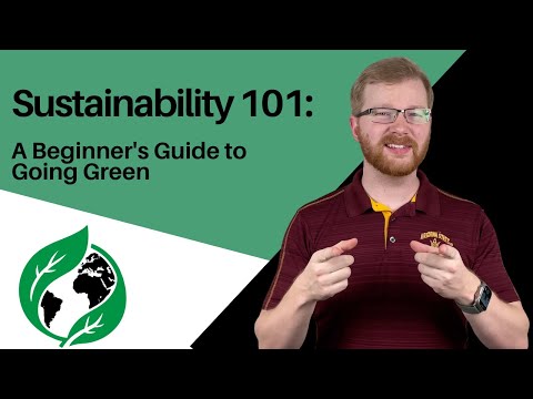 Website Sustainability:  The Complete Guide To Going Green