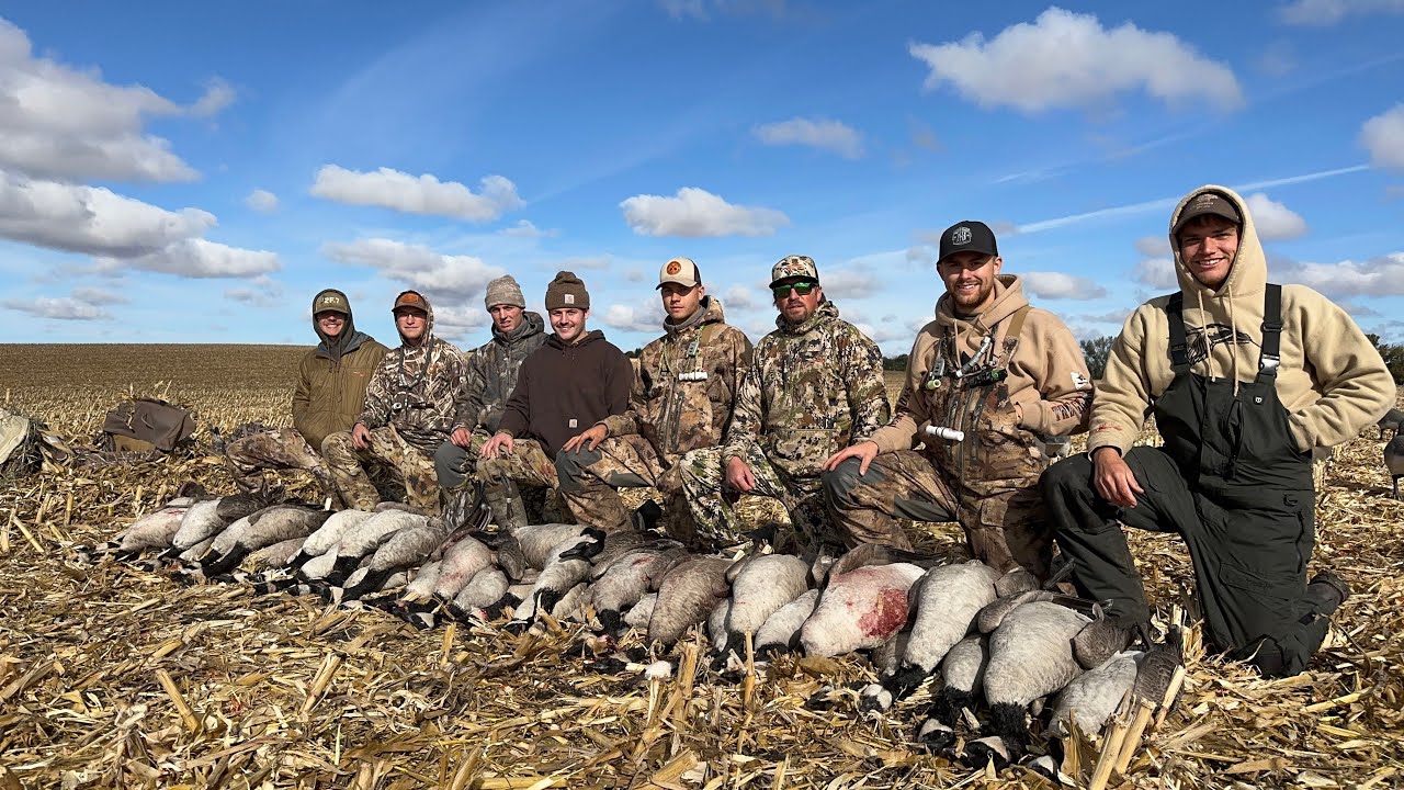 Goose Hunting A Loaded Fresh Cut Corn Field (Our Roost was Busted!)