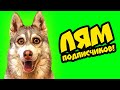 Mister Booble - ЛЯМ! (Official music video) Клип на 1000000 подписчиков!