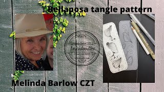 Bellaposa Tangle Art Lesson #513