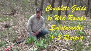 Complete Wild Ramps, Sustainable Harvest + 5 Recipes