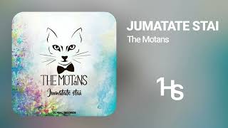 The Motans - Jumatate Stai | 1 Hour