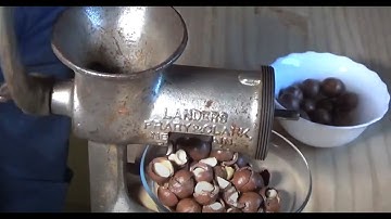 Macadamia Nutcracker from a vintage meat grinder
