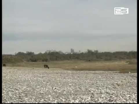 გონიოს ყოფილი სამხედრო პოლიგონის ტერიტორიაზე საინვესტიციო პოტენციალის კვლევა დაიწყო