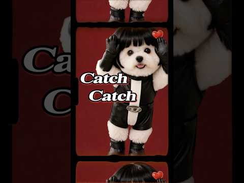 [짭댕이 춤] 최예나(YENA) - ‘캐치 캐치‘ 🐾 #Shorts #CatchCatch #캐치캐치