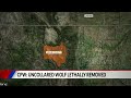 CPW lethally removes uncollared wolf after depredations