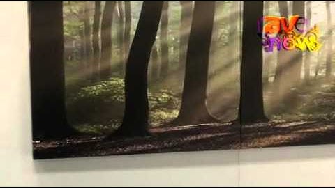 CEDIA 2011: Future Automation Introduces Its Picture Split Mechanism