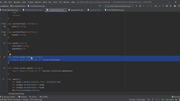 Go Interfaces in 22 minutes with Code and Example | Go polymorphism | Type Assertion