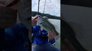Baitsanity Lipless Crankbait cast to catch #baitsanity #bassfishing #kayakfishing #crankbait