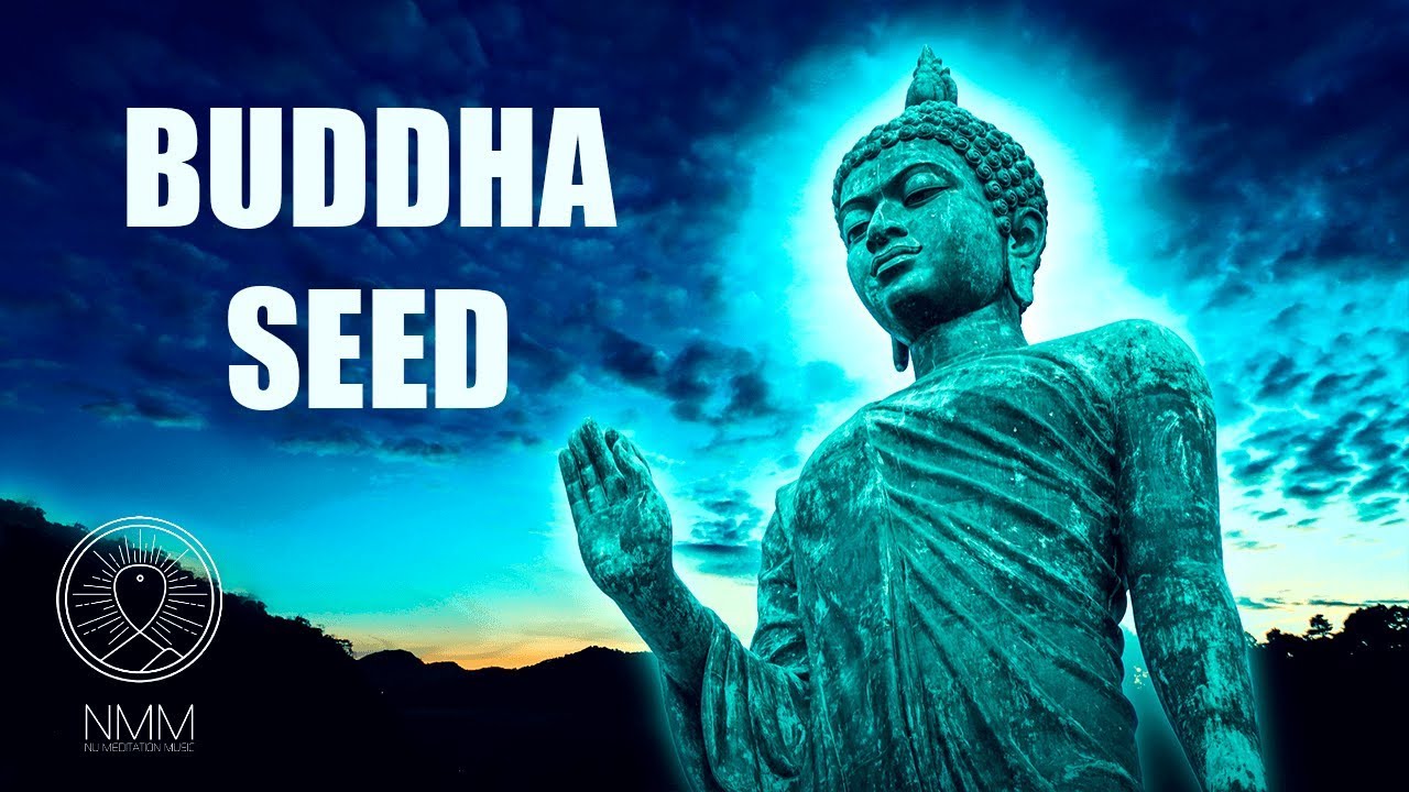 Buddhist Meditation Music for Positive Energy "Buddha seed", Buddhist