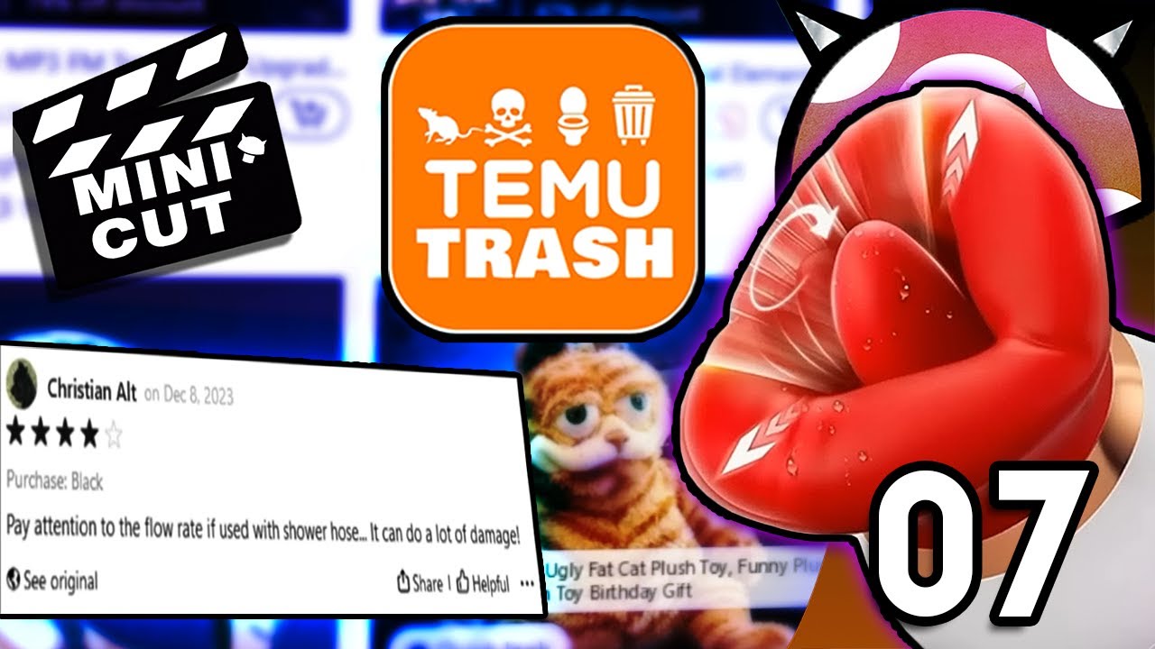[Vinesauce] Joel - Temu Trash Highlights ( Part 7 )