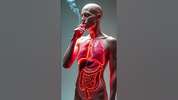 The Hidden Dangers of Smoking | 3D Realistic Animation