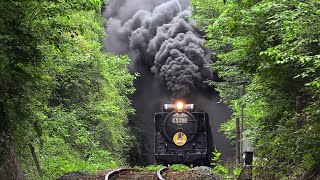 【梅雨の中休み】 SLやまぐち号 D51200号機 2026.6.13-14　Japanese Steam Locomotive D51 【蒸気機関車】