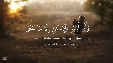 ساعة كاملة ⏱️🎧 | تلاوة لمن أراد الهدوء والراحة النفسية😴♥️ للدراسة والتركيز 📚 | القارئ طارق عطية