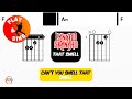 Lynyrd Skynyrd - That Smell | Scrolling Guitar Chords &amp; Lyrics