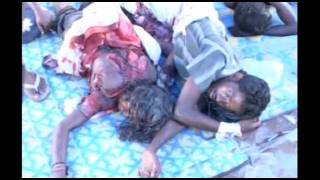 Sri.Lankas.Killing.Fields.WS.PDTV.XviD-C4TV