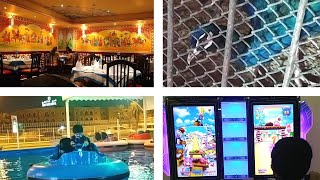 Outdoor Kids Park Manama | Birds & Indian restaurant in Bahrain  | Bahrain Video 11