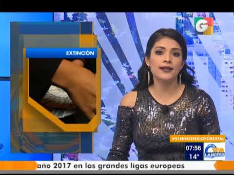 camera iphone 8 plus apk Viva La Noticia | 27-12-17 | Segmento 05 | Guatevisión