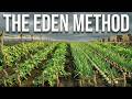 The $7 Biblical Garden Method That Feeds You Forever — Jesus Used It in Eden