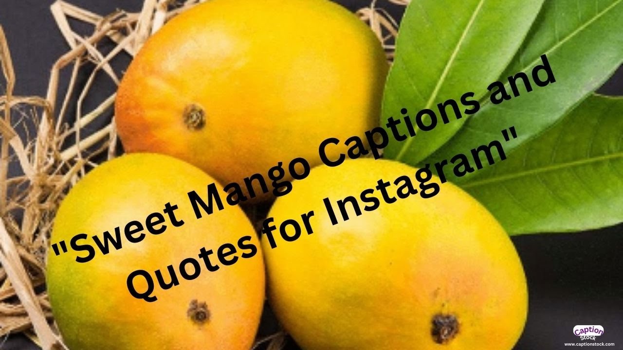 Sweet Mango Captions and Quotes mangocaptions instagramquotes 