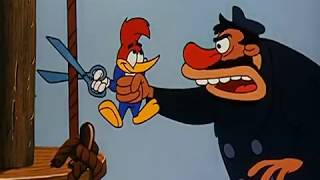 Pica pau antigo 1940 dublado em português