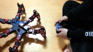 Hexapod test
