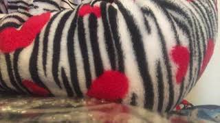 Video Presentation De La Chaine Zozo Chanel Video Sur Salay 3Ala Nabi