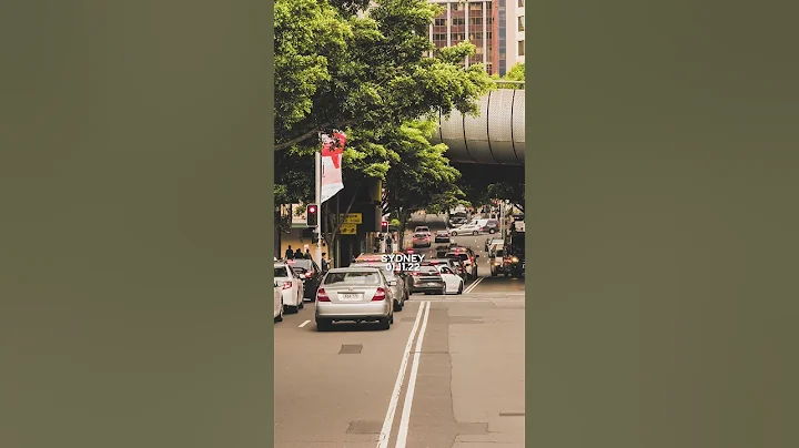 Random Stills from Sydney last year! #shorts #australia #travelphotography