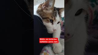 Beni Öldürecek 2..