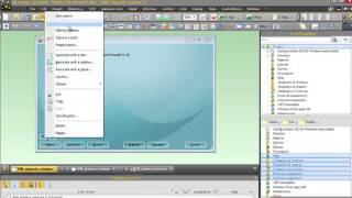 Curso Windev 3