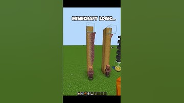 Minecraft logic #minecraft #shorts