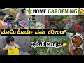    home gardening tuluvlog vlogs ytshorts youtubeshorts tuluvlogger viral