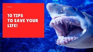 10 Tips To Avoid Shark Attacks 🦈 This Will Save Your Life!