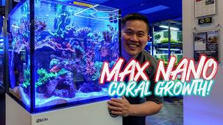 Amazing Coral Growth And Saltwater Fish In The Red Sea Max Nano G2 Xl (Call The Tang Police)