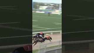 WHO WON 😱 Photo Finish! 🏁 #shorts