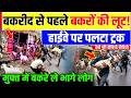 Bakra Eid Viral Video : बकरों से भरा ट्रक पलटा, बकरे लूट ले गए लोग | UP News| Kaushambi | Viral News